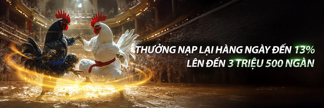 VN88PRO với các tính năng game nổi bật và ưu đãi 2026